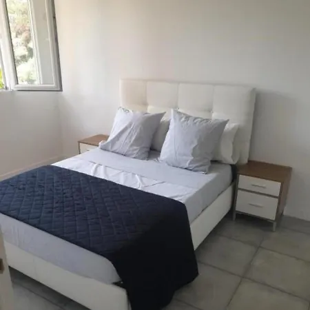 Grand Appartement, 2 Ou 3 Ou 4 Pieces, Tramway Sur Place, Proche Gare Sncf St Augustin 5 Min, Aeroport A 7 Min, Ou Allianz Riviera 10 Min, Palais Nikaia 2 Min , Supermarche Sur Place, Parking Possible Si Disponible Ou Payant A 1000 Metre Apartamento *